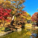 연못들5 이미지