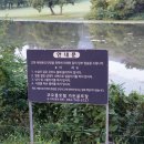 호수가에풍경가든 이미지