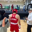 팀아트 복싱 이미지