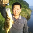(주)새벽 이미지