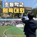 [초등학교 체육대회 후기] 인기 게임 &amp; 프로그램 총정리!