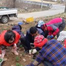 모서면 행정복지센터 이미지