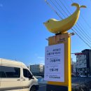 제주 함덕 소품샵 추천 선물고팡 제주도 기념품 먹거리 효도선물