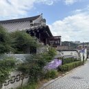 햇살마을 | 전주 한옥마을 숙소 햇살가득 민들레방 숙박 후기