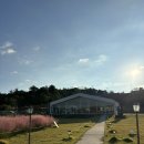 월하당 | (나주)나주 감성 대형 카페 부덕동 애견동반 야외정원 핑크뮬리 ‘월하당’ 후기