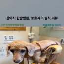 동물제중원금손이 동물병원 이미지