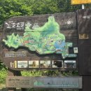 강서구-86 | 부산 가덕도 연대봉 등산 후기🌿 시원한 바다와 함께한 힐링 산행