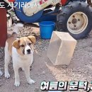 사기리 이미지