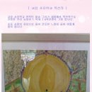 교암초등학교 이미지