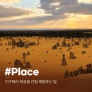 서호주의 작은 외계 행성 🌕 피나클스 사막 투어 후기! 대자연을 느낄 수 있는 감각적인 공간