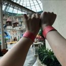 수진초등학교 이미지