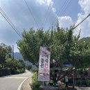 까치노래방 이미지