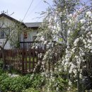 향원펜션 이미지