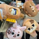 나영푸드 | 누나 데이식스예요? 2026년 데이식스 대전 콘서트 후기