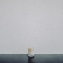 웨이프(WAYP) 이미지