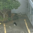 경미수산 이미지