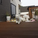 리사앤루이 이미지