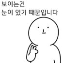 나비드짐 이미지