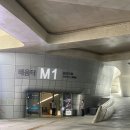 미디어랩라온 | 서울 미디어 아트 전시회 추천, 팀랩라이프 (teamLab: LIFE)