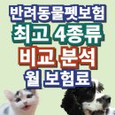 펫파민트 | 강아지 펫보험 추천 4가지, 반려동물 보험 해결! 후기 포함