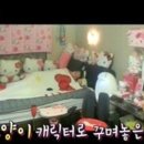 분홍고양이