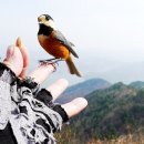 재롱이네 이미지