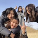 다인다방 이미지