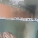 착한낙지 이미지