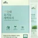 새싹의 맘