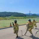 김천소방서 이미지