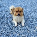 해동목장 이미지