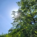 섬말공원2 이미지