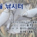 청월낚시터