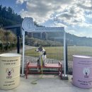 굿나잇도그 | [무안] 애견 펜션 굿나잇도그 방문 후기 내 돈 내산