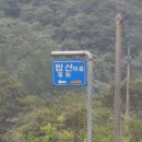 탑선마을 Daum카페