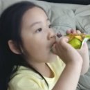 제주과랑 | 우리아이를 위한 안전한 먹거리~ 자연마을 마시는 밀감젤!!