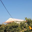 고내농장 이미지