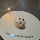 투스타 - 구로구 새말로 97 | 90만원 태운 미슐랭투스타 논현 알라프리마 후기❤️‍🔥