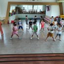 아름드리 태권도 이미지