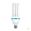 밝은학교 이미지