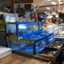 상진수산 이미지