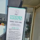 무프스 | 전주애견카페 무프스 다녀온 후기