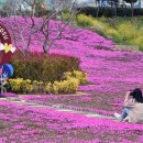 여수엑스포역 이미지