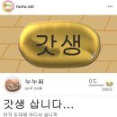 월포식당 이미지