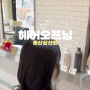힐링빌드존