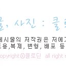 덕이쇼핑