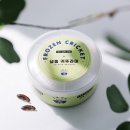 이백농장 | 크레세오 냉동귀뚜라미 후기, 크레스티드게코 먹이로 실제 급여해본 후기!