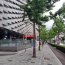 황금역 | 대구 수성구 황금동 맛집 카페동이 1호점 재방문 후기 , 황금역 근처 밥집 추천