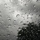 남원읍-83 이미지