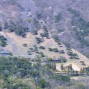 들국화(만수)마을 이미지